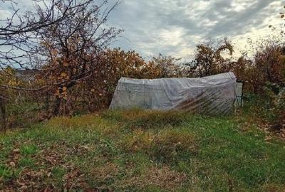 Teren de 160 mp, în Mărăcineni