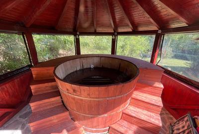 Casă cu 6 camere în Ocoliș - 6