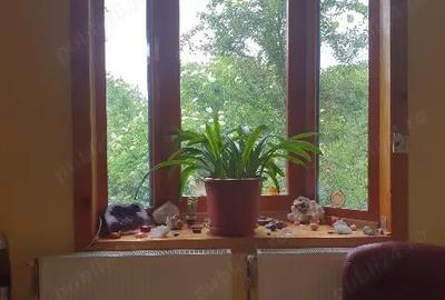 Casa de vis - refugiu in natura - 7