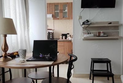 Garsoniera tip studio - 3