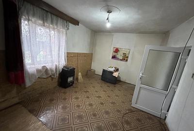 Casă cu 4 camere cu Teren 960 Mp în Biled - 2