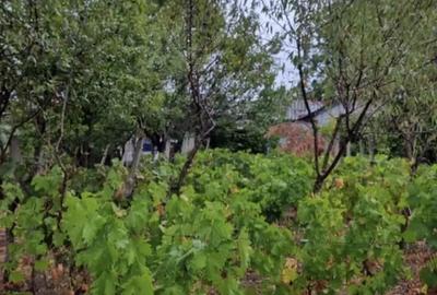 Casă cu 4 camere cu Teren 2700 Mp în Năeni - 2