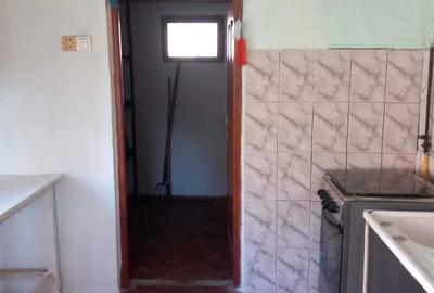 Casă cu 2 camere în Bichiș - 2