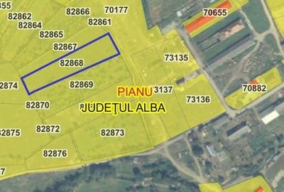 Spațiu comercial, în Pianu - 7