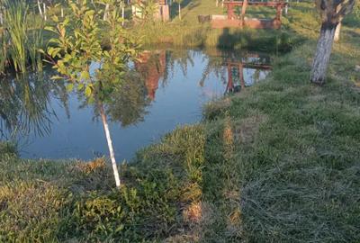 Casa de vanzare Cermei - 6