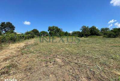 Casă cu 2 camere cu Teren 3200 Mp în Traian - 17