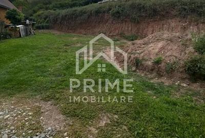 Teren de 3000 mp, în Șard - 4