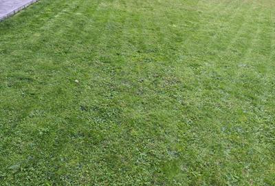 PROPIETAR super vila de vis Calea Timi?orii - 2