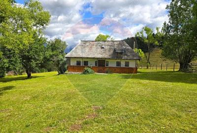 Teren de vis in Fundata 3868mp, la inal?imea sufletului tau - 20