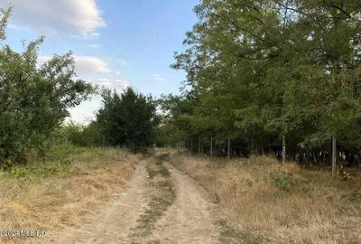 Corbeanca - Tamasi, intravilan, 16562 mp, deschidere 93 m, rezidential - 2