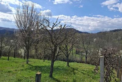 Spațiu comercial, în Olteni - 4