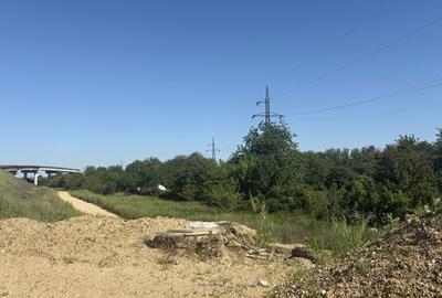 Teren de 7000 mp, în Braniște (Daneți) - 3