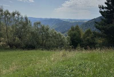 Teren de vanzare Rasca - 2