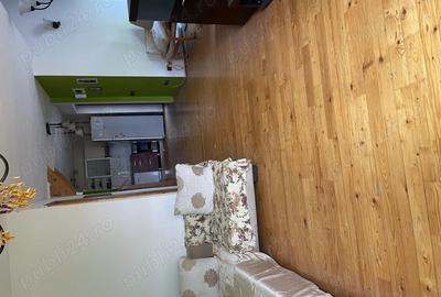 Vanzare casa Calea Ferentari - 5