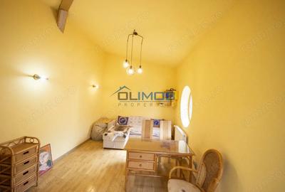 Inchiriere vila cu personalitate zona Tudor Vladimirescu - 8