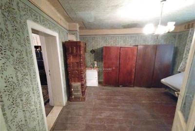 Bogodint, Casa 440mp cu 4 Hectare Teren, Pret Negociabil - 2