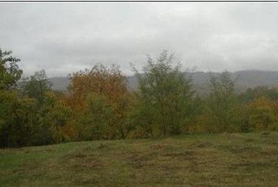 Teren faneata Vizantea Livezi; ID: R2800475 - 2