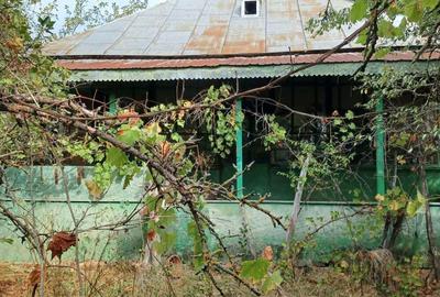 Casă cu 2 camere cu Teren 3100 Mp în Diculești - 17