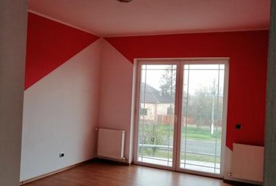 Casă cu 6 camere cu Teren 2255 Mp în Cenad - 8
