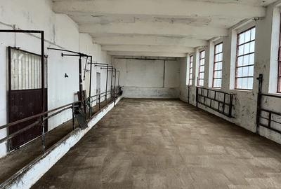 Spațiu comercial, în Brestovăț - 1