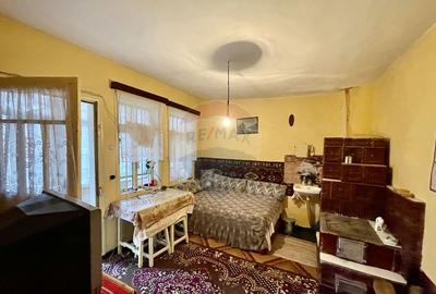 Casă cu 4 camere cu Teren 5088 Mp în Neicu - 1