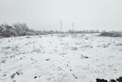 Teren agricol intravilan de 5876 mp, în Ronaț - 3