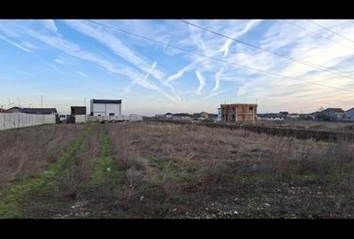 Teren în Berceni - 2