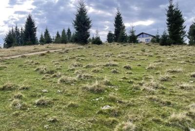 Teren de 2300 mp, în Beliș - 8