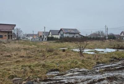 Seini, str. Tineretului, 60 ari teren - 3