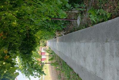 Livada 600pomi de 12 ani,cu casa 2camere,baie ,bucatarie,10000mp - 2