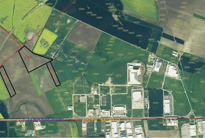 Teren de 80000 mp, în Lugoj