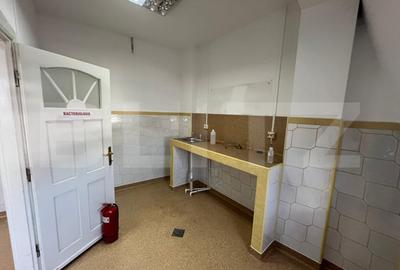 Imobil de inchiriat, 329 mp, Centru Vechi - 12 camere - 5