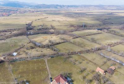 Teren Construcții intravilan de 5967 mp, în Bran - 17