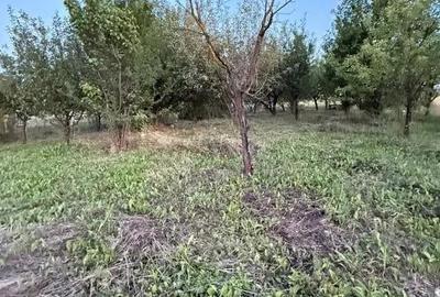 Teren intravilan Aghiresu Fabrici Jud Cluj 25 km Cluj Napoca - 4