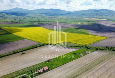 Teren agricol intravilan de 687 mp, în Aninoasa - 1