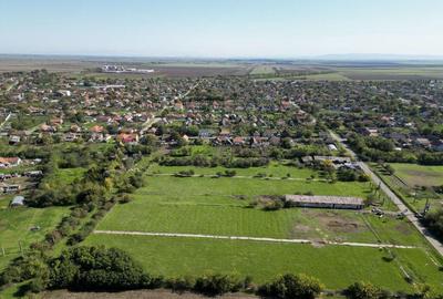 Hala de 430 mp ?i teren intravilan 2.5 ha Macea - 21