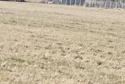 Teren agricol extravilan de 4000 mp, în Dragomirna - 2