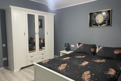 Apartament cu 2 camere decomandat în Viișoara - 4