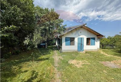 Casa de vanzare-Lini?te, natura ?i farmec tradi?ion... - 2