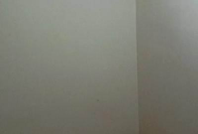 Apartament de inchiriat in zona Cedonia - 2