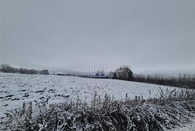 Teren de 5100 mp, în Bulai - 3