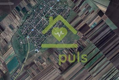 🗺️ Teren extravilan la Pesac de 5.000 mp (1,4 euro/mp)✨ - 3