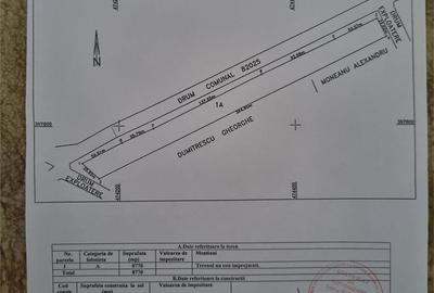 Teren de 7000 mp, în Băiculești - 9