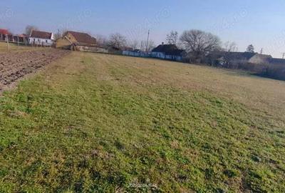 Casă cu 5 camere în Checea - 14