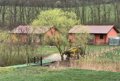 Casă cu 3 camere în Bolduț - 6