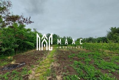 Casa | 1331 mp Teren | Miercurea Sibiului | - 9