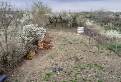 Casa de vanzare in Filia?i Dolj,cu teren intravilan in suprafa?a de 1144mp - 3