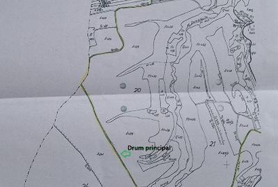 Teren agricol extravilan de 49900 mp, în Șeica Mică - 6