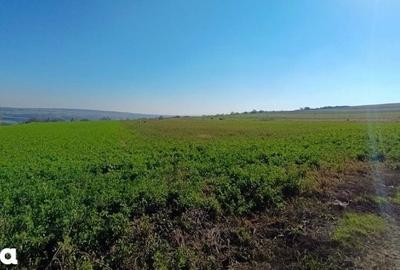 Teren de 7088 mp, în Havârna - 3