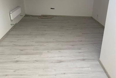 Vand casa recent renovata - Zona Domenii-Caraiman - Curte si terasa etajata - 8